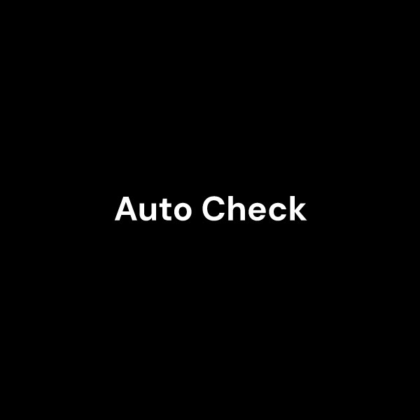 auto check