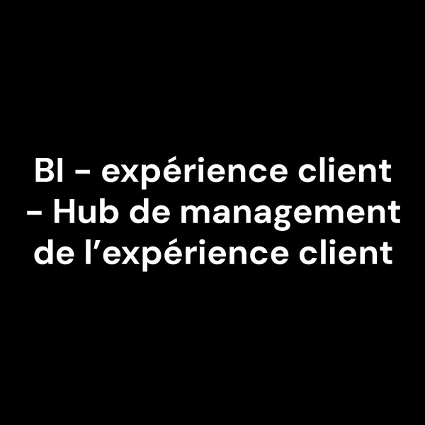 bi experience client hub de management de l’experience client