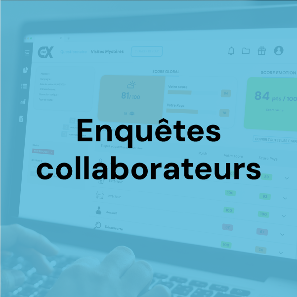 enquetes collaborateurs 600x600