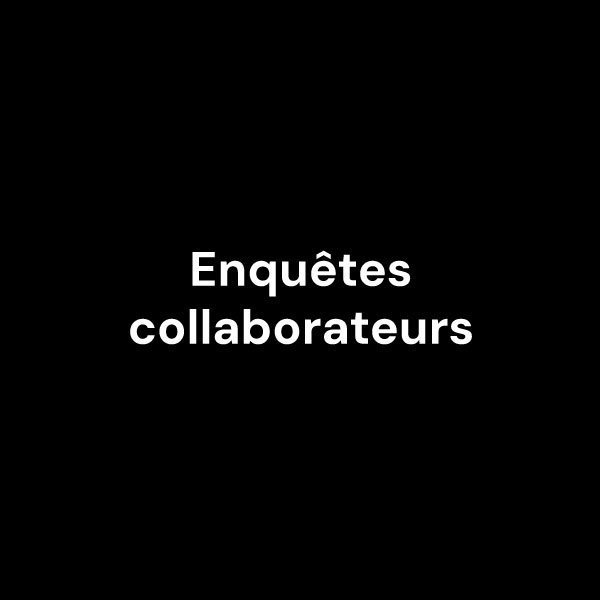 enquetes collaborateurs